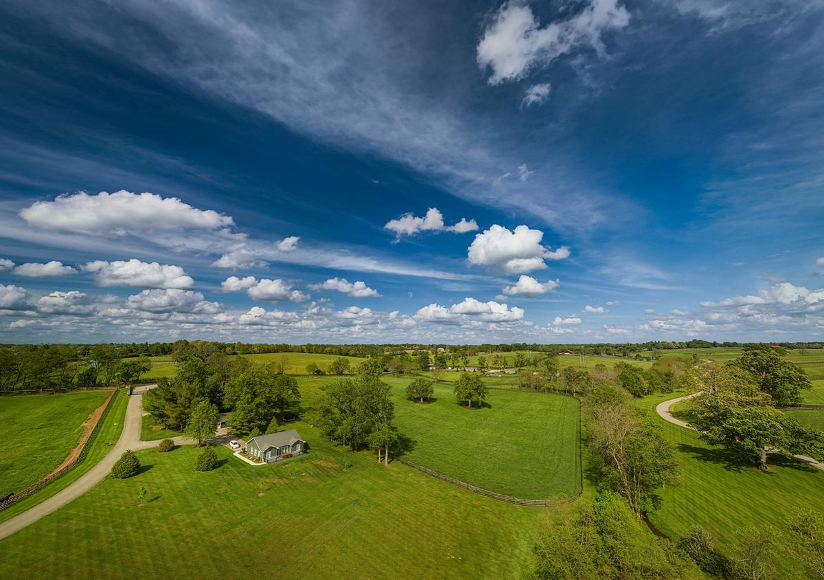 Farm Land View