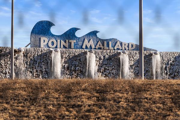 Point Mallard