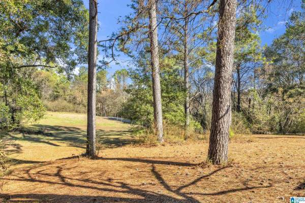 1631 CUNNINGHAM DRIVE #6, Helena, AL 35080