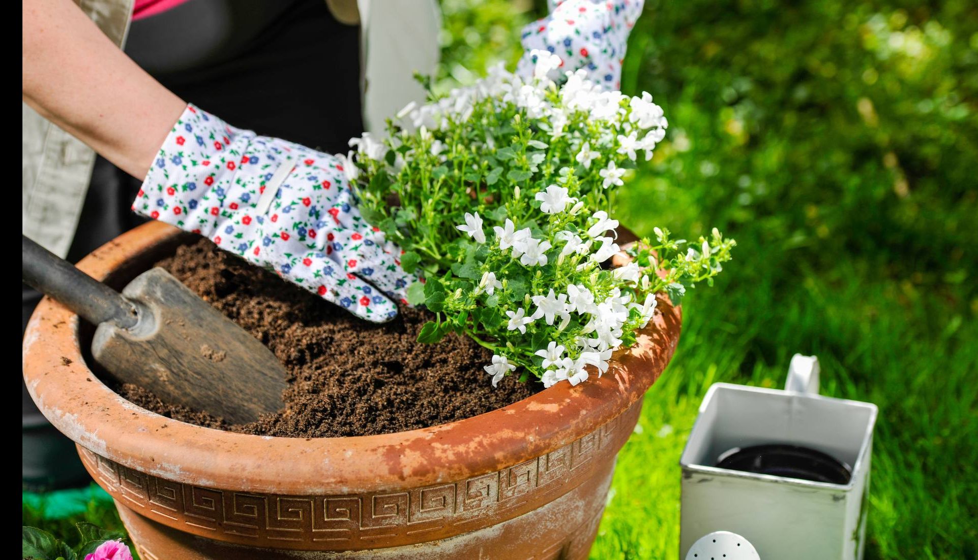 rule of three in gardening