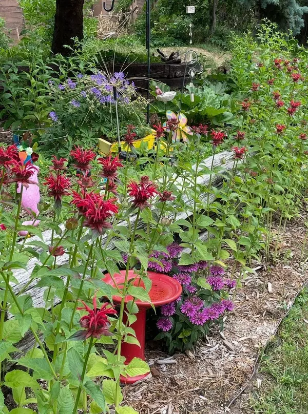 4911 108th LN NE, Blaine, MN 55014