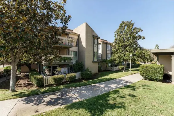 290 Sequoia CT #36