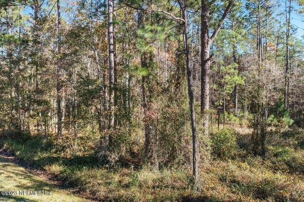 10690 GREGORY AVE, Hastings, FL 32145