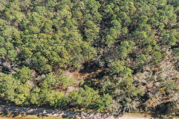 10690 Gregory Ave, Hastings, FL 32145