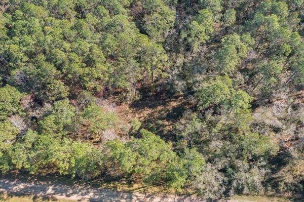 10690 Gregory Ave, Hastings, FL 32145