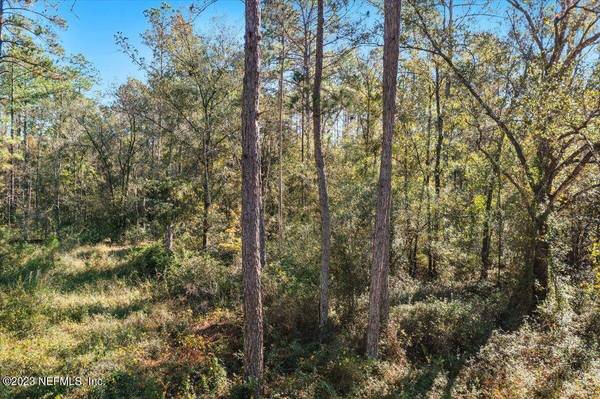 10690 GREGORY AVE, Hastings, FL 32145