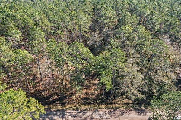 10690 Gregory Ave, Hastings, FL 32145