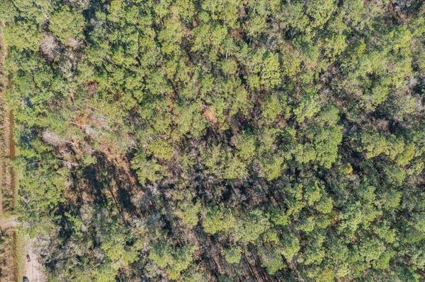 10690 Gregory Ave, Hastings, FL 32145