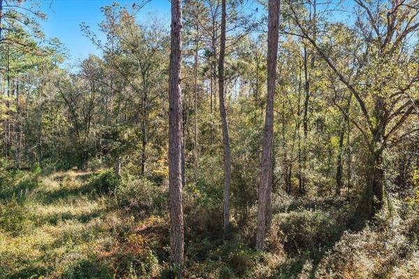 10690 Gregory Ave, Hastings, FL 32145