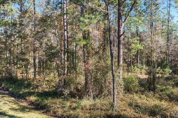 10690 Gregory, Hastings, FL 32145