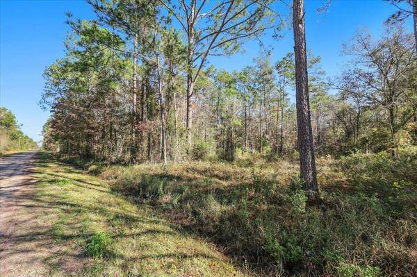 10690 Gregory, Hastings, FL 32145