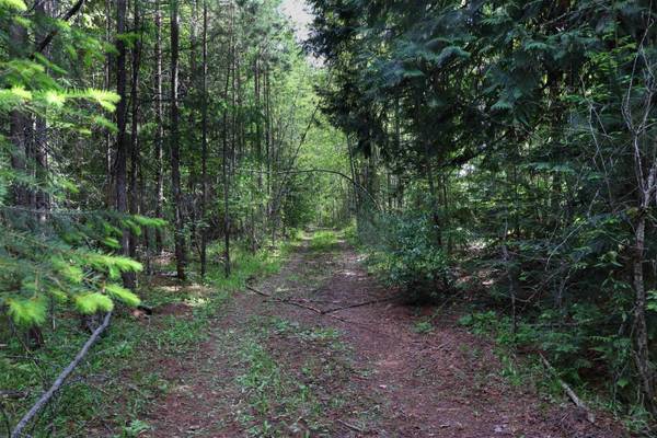 16882/16921 Highway 31, Metaline Falls, WA 99153