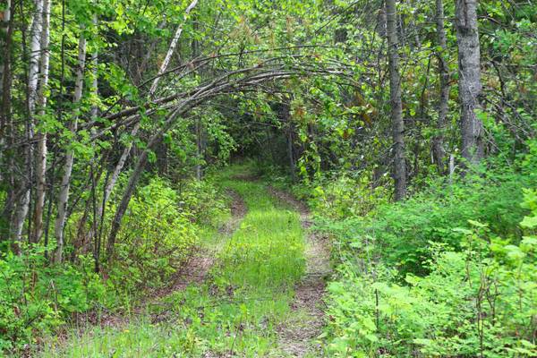 16882/16921 Highway 31, Metaline Falls, WA 99153