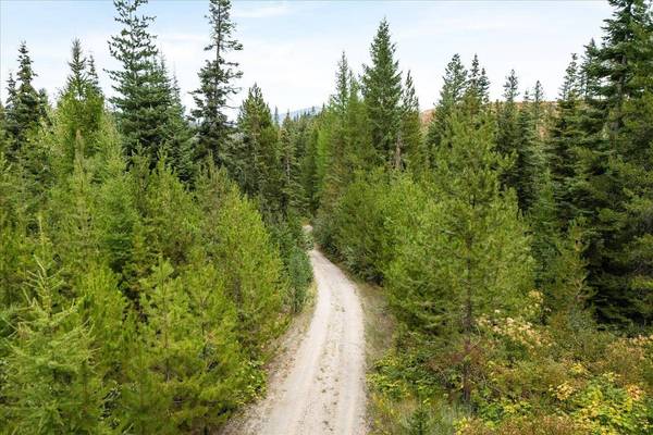 NKA Blanchard Creek Rd, Newport, WA 99156