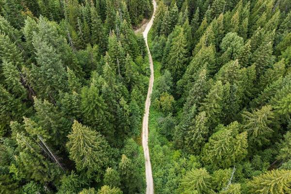 NKA Blanchard Creek Rd, Newport, WA 99156