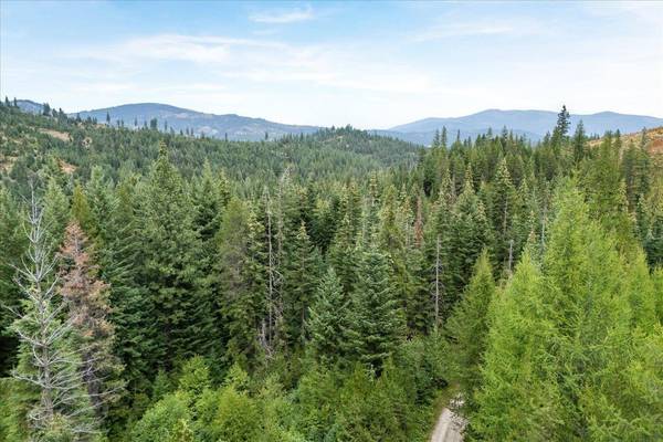 NKA Blanchard Creek Rd, Newport, WA 99156