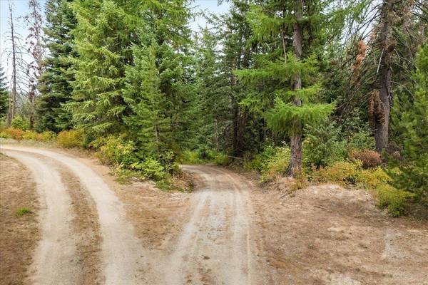 NKA Blanchard Creek Rd, Newport, WA 99156