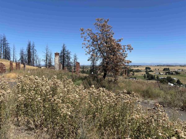 15015 W Taylor Rd, Cheney, WA 99004