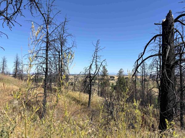 15015 W Taylor Rd, Cheney, WA 99004