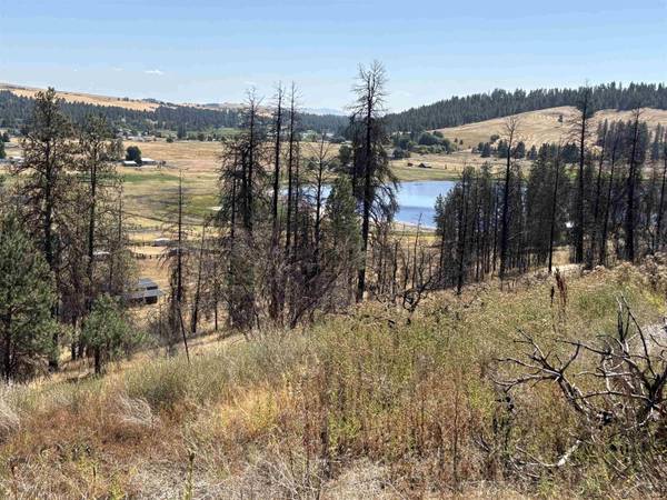 15015 W Taylor Rd, Cheney, WA 99004