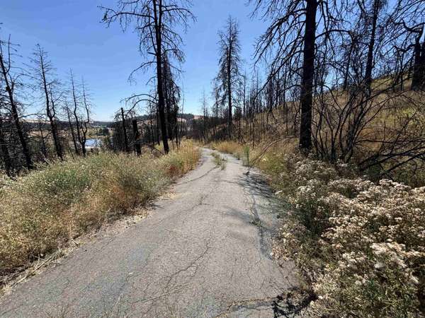 15015 W Taylor Rd, Cheney, WA 99004