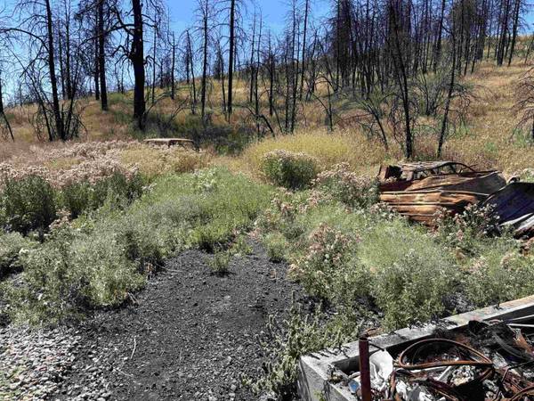 15015 W Taylor Rd, Cheney, WA 99004