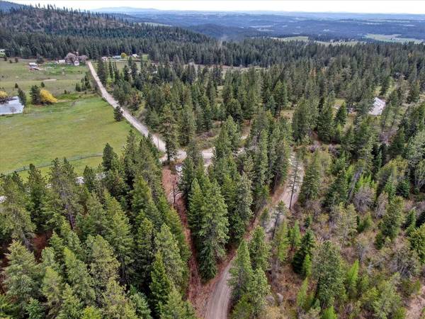 29110 N Conklin Rd, Chattaroy, WA 99003