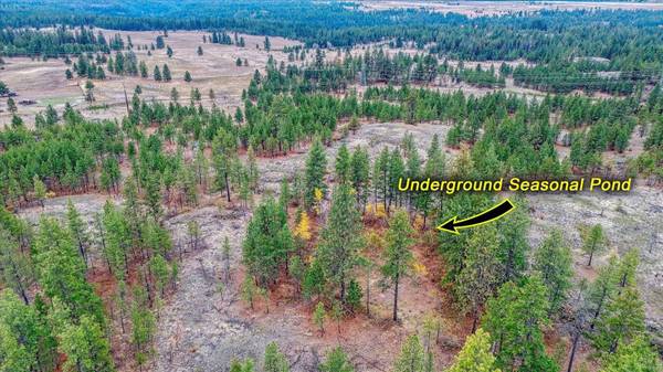 18818 W Burnett Rd, Spokane, WA 99224