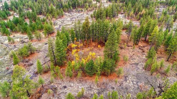 18818 W Burnett Rd, Spokane, WA 99224