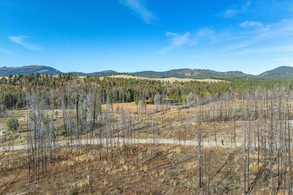 Xxx E Frideger Rd, Elk, WA 99009