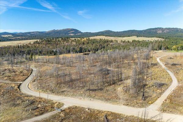 Xxx E Frideger Rd, Elk, WA 99009