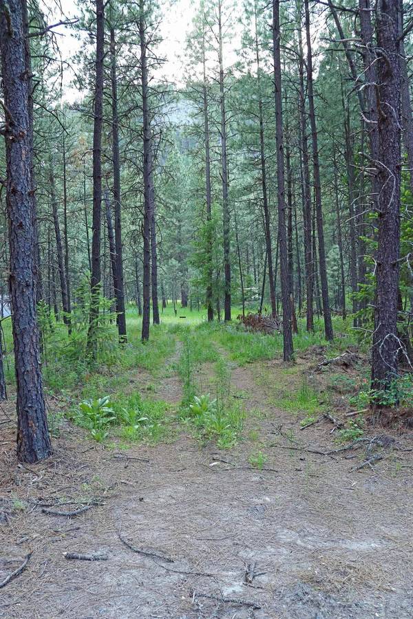 3733 C Sand Creek Rd, Kettle Falls, WA 99141