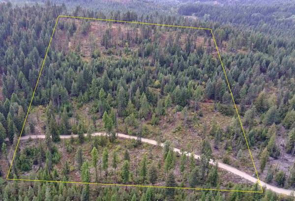 2784 Red Tail WAY, Colville, WA 99114