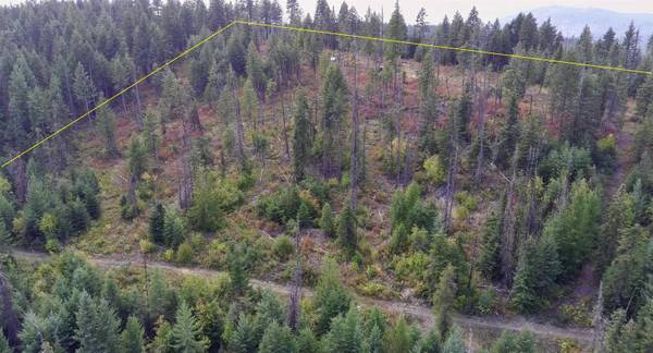 2784 Red Tail WAY, Colville, WA 99114