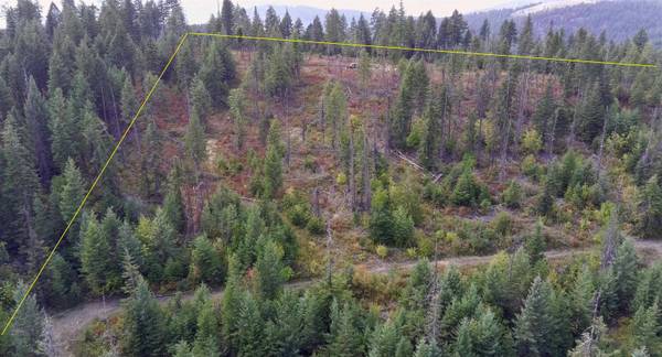 2784 Red Tail WAY, Colville, WA 99114