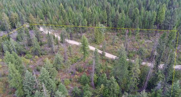 2784 Red Tail WAY, Colville, WA 99114