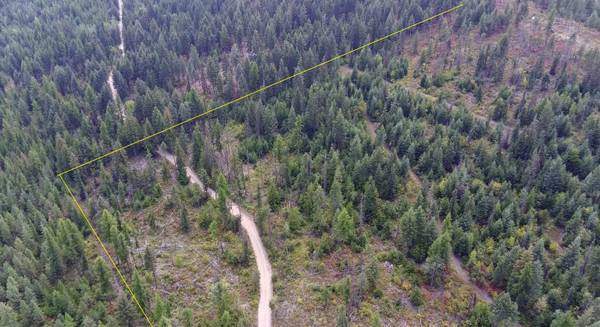 2784 Red Tail WAY, Colville, WA 99114