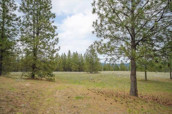 xx N Bernhill Rd, Nine Mile Falls, WA 99026