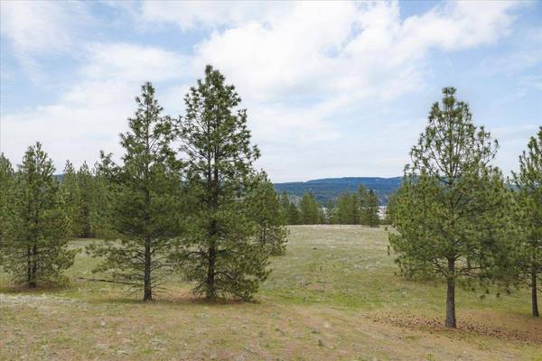 xx N Bernhill Rd, Nine Mile Falls, WA 99026