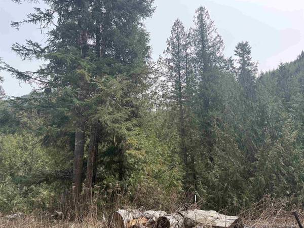 4851 Best Chance Rd, Usk, WA 99180