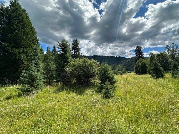 Colville, WA 99114