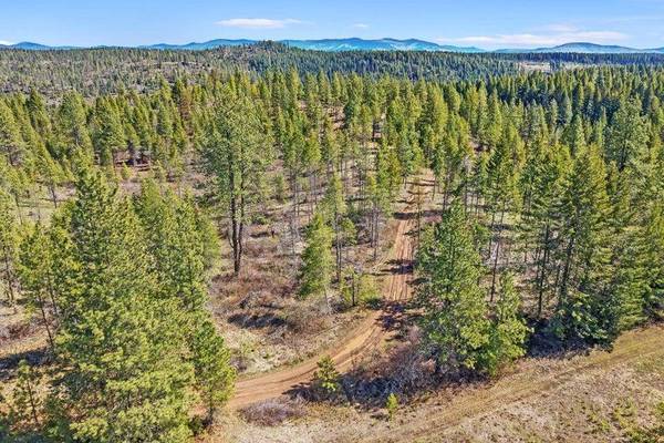4XXX TBD, Springdale, WA 99173