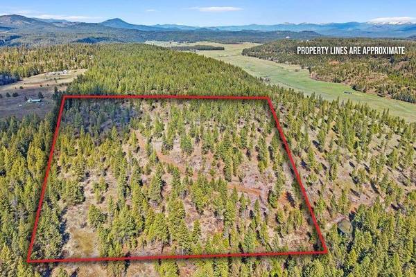 4XXX TBD, Springdale, WA 99173