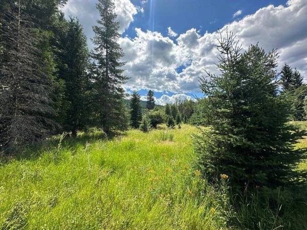 Colville, WA 99114