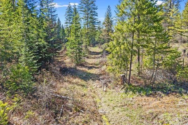 4XXX TBD, Springdale, WA 99173
