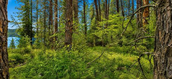 XXX Hwy 22 S Hwy, Gifford, WA 99131