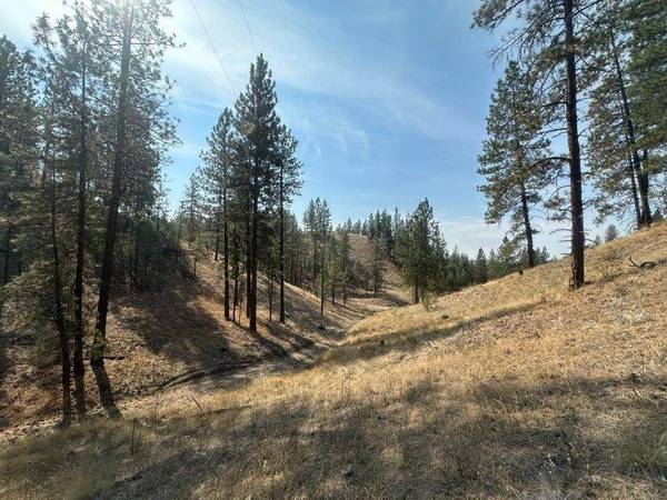5699 C Hwy 231 Hwy, Ford, WA 99013