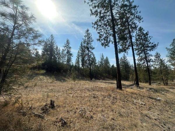 5699 C Hwy 231 Hwy, Ford, WA 99013