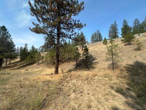 5699 C Hwy 231 Hwy, Ford, WA 99013