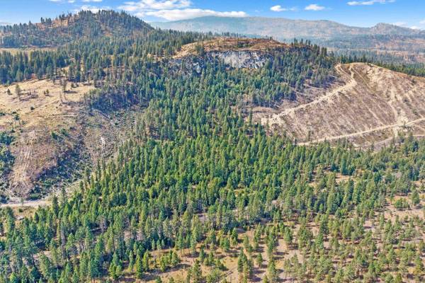 TBD Hwy 395 N, Kettle Falls, WA 99141